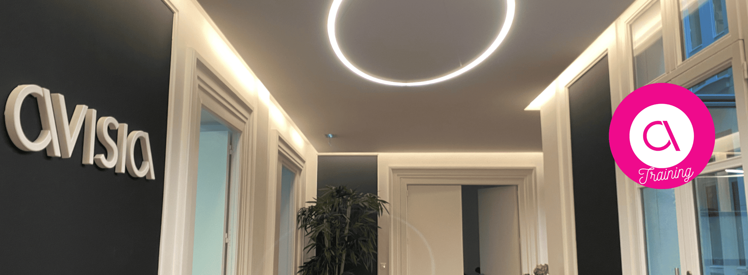AVISIA Training tre Form Par Des Experts AVISIA