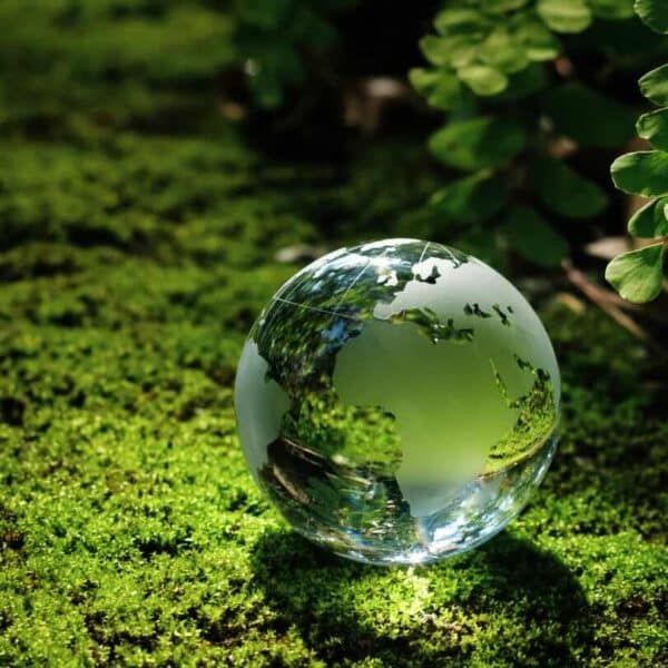 Ecrire un texte alternatif décrivant l'image