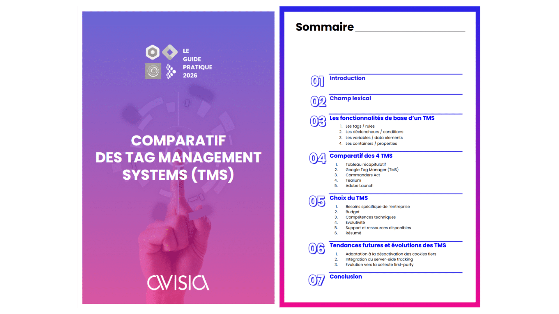 Guide choix des Tag Management Systems
