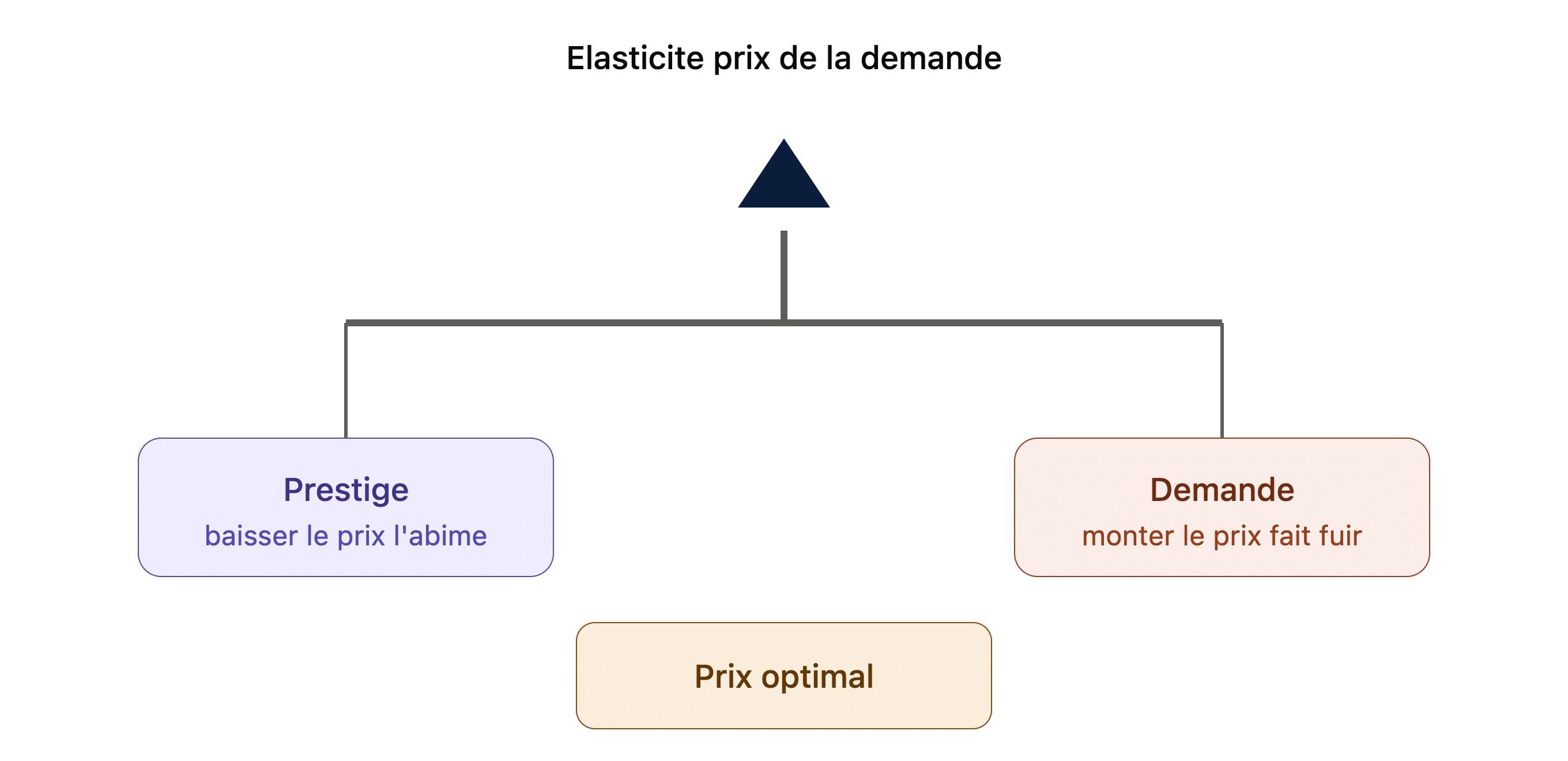 Usecase_retail_luxe_elasticite_prix • Avisia Elasticité-prix-panel-data-avisia